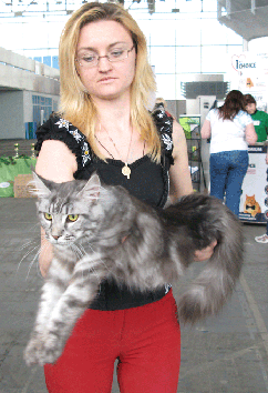     Avtoritet Best Country Gulliver,s    -     ,   Catsvill County