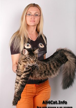     Timaracoon,s Las-Vegas  -   ,   Catsvill County